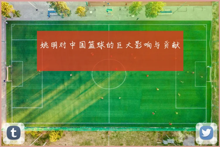 姚明对中国篮球的巨大影响与贡献