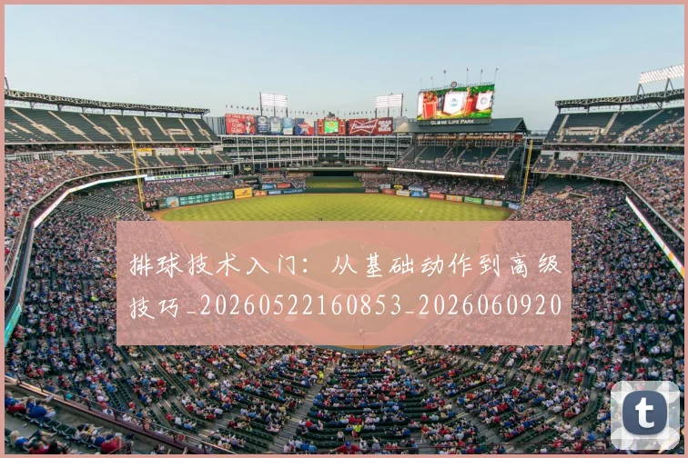 排球技术入门:从基础动作到高级技巧_20260522160853_20260609201419
